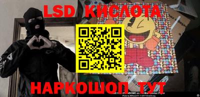 гидропоника Аша