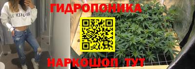 гидропоника Аша