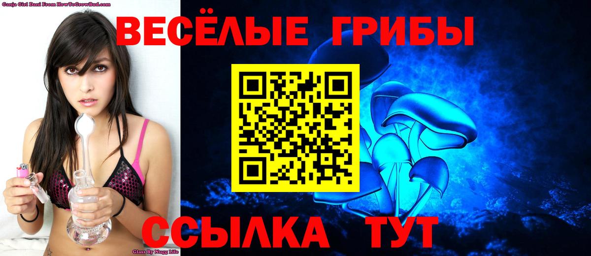Псилоцибиновые грибы Psilocybine cubensis Астрахань